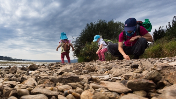 Přehrada Lipno | Lipno lake