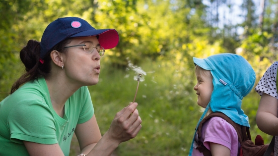 V lese | In a forest